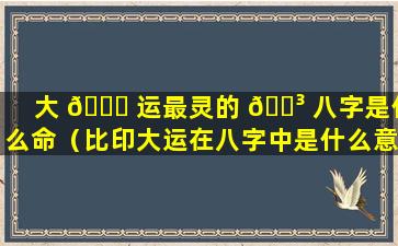 大 🍀 运最灵的 🐳 八字是什么命（比印大运在八字中是什么意思）